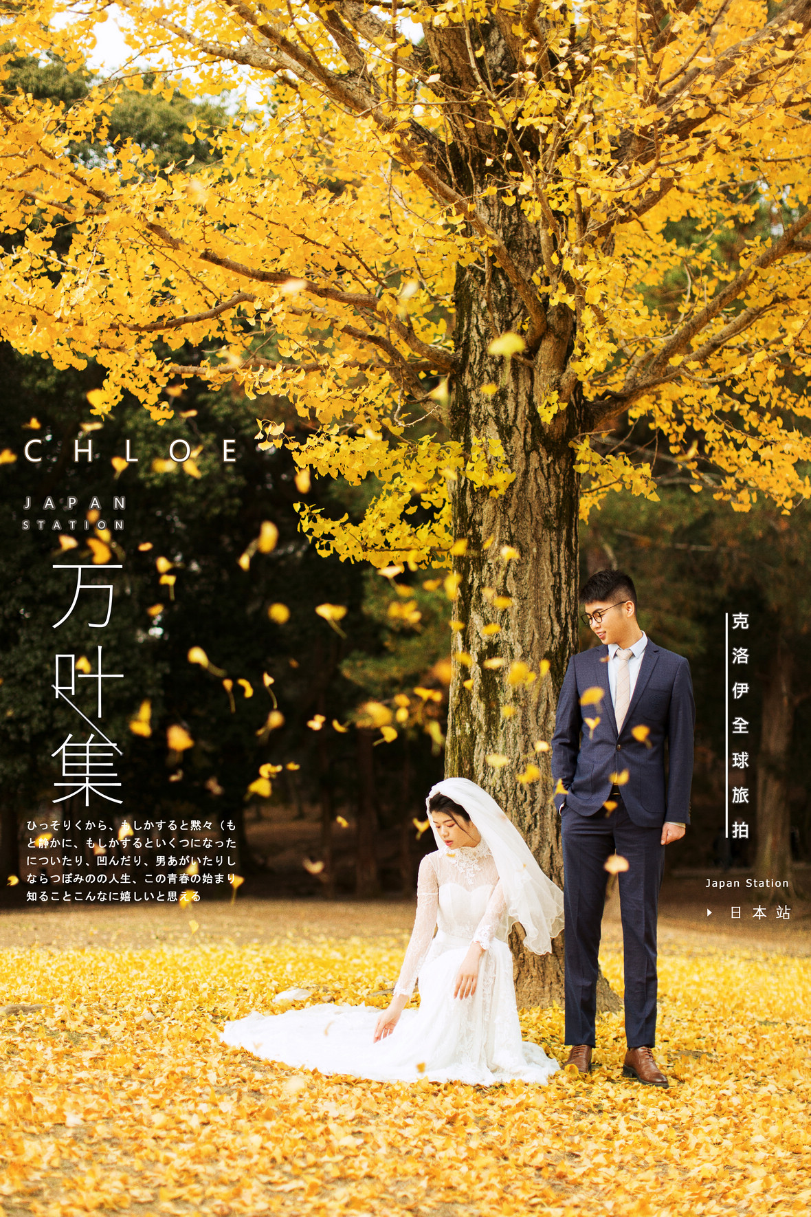 17年12月2/3日全球合辑 